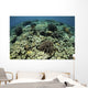 Beautiful and Healthy Coral Looking Down Wall Decal