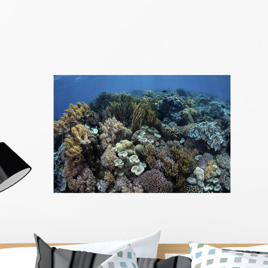Beautiful and Healthy Coral Variety Wall Decal