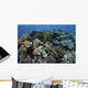 Beautiful and Healthy Coral Variety Wall Decal
