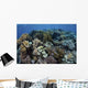 Beautiful and Healthy Coral Variety Wall Decal