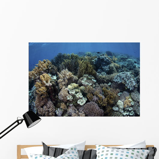 Beautiful and Healthy Coral Variety Wall Decal