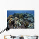 Beautiful and Healthy Coral Variety Wall Decal