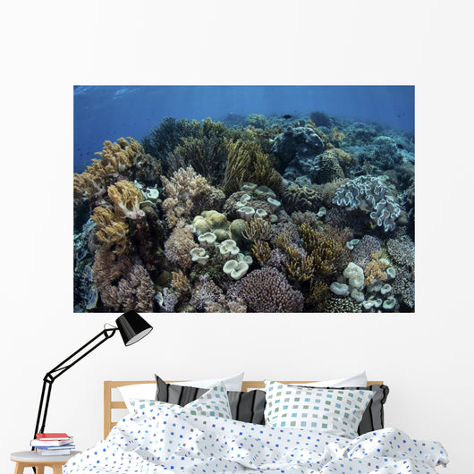 Beautiful and Healthy Coral Variety Wall Decal