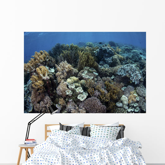 Beautiful and Healthy Coral Variety Wall Decal