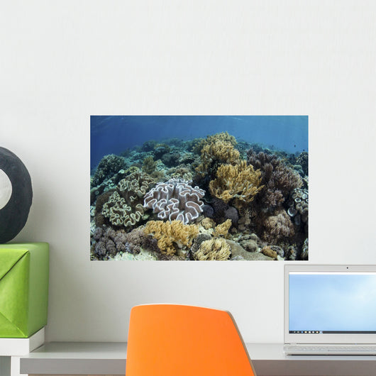 Beautiful and Healthy Coral Close-up Wall Decal