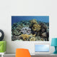 Beautiful and Healthy Coral Close-up Wall Decal