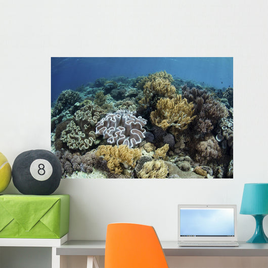Beautiful and Healthy Coral Close-up Wall Decal