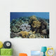 Beautiful and Healthy Coral Close-up Wall Decal