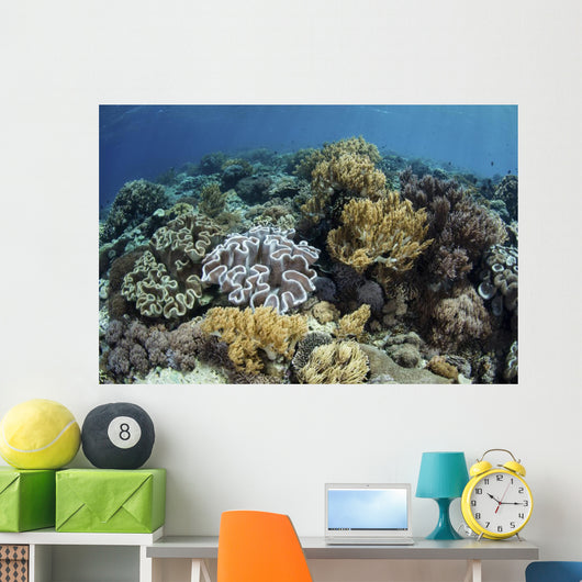 Beautiful and Healthy Coral Close-up Wall Decal