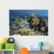 Beautiful and Healthy Coral Close-up Wall Decal
