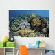 Beautiful and Healthy Coral Close-up Wall Decal