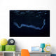 Irridescent Venus Girdle Water Surface Wall Decal