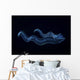 Irridescent Venus Girdle Wall Decal