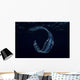 Irridescent Venus Girdle Drifting in Water Wall Decal