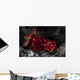 Beautiful Nudibranch Crawls across Wall Decal