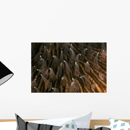 Detail Beautiful Tentacles Mushroom Wall Decal