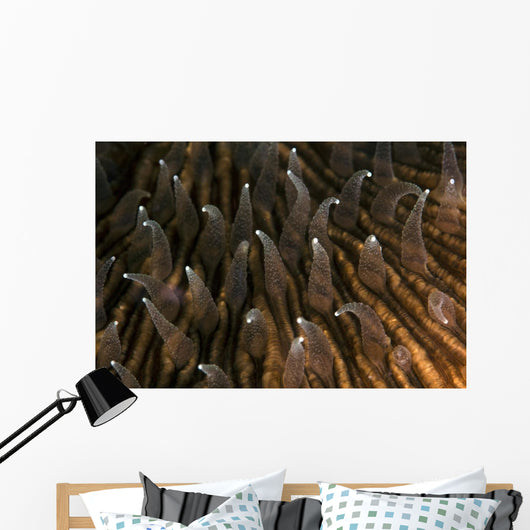 Detail Beautiful Tentacles Mushroom Wall Decal