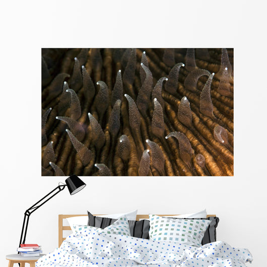Detail Beautiful Tentacles Mushroom Wall Decal