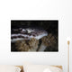 Coral Catshark Rests Seafloor Wall Decal