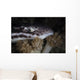 Coral Catshark Rests Seafloor Wall Decal