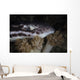 Coral Catshark Rests Seafloor Wall Decal