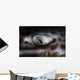 Coral Catshark Rests Seafloor Eye Wall Decal