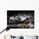 Coral Catshark Rests Seafloor Eye Wall Decal
