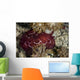 Forskal's Pleurobranch Crawls Night Top View Wall Decal