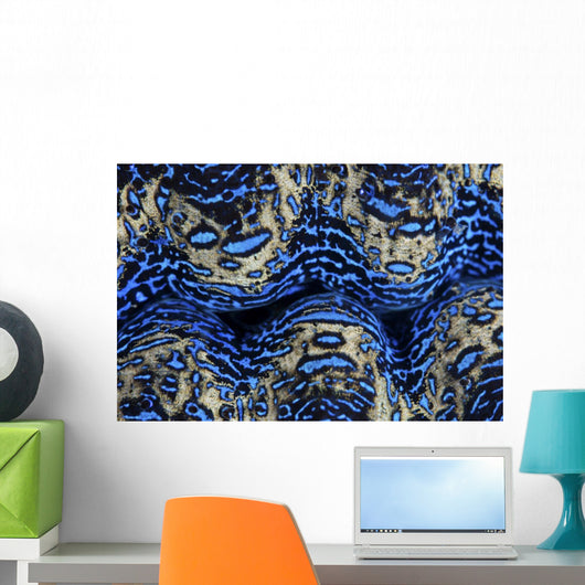 Detail Colorful Mantle Giant Wall Decal