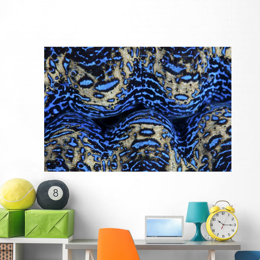 Detail Colorful Mantle Giant Wall Decal