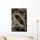 Detail Beautiful Mantle Large Wall Decal