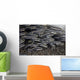 School Juvenile Striped Eel Close-up Wall Decal
