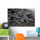 School Juvenile Striped Eel Close-up Wall Decal