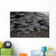 School Juvenile Striped Eel Close-up Wall Decal