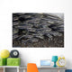 School Juvenile Striped Eel Close-up Wall Decal