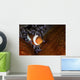 False Clownfish Swims in Anemone Wall Decal