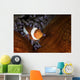 False Clownfish Swims in Anemone Wall Decal