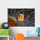 False Clownfish Swims Face Wall Decal