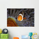 False Clownfish Swims Face Wall Decal