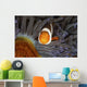 False Clownfish Swims Face Wall Decal