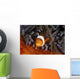 False Clownfish Swims Wall Decal