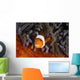 False Clownfish Swims Wall Decal
