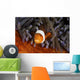 False Clownfish Swims Wall Decal