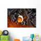 False Clownfish Swims Wall Decal