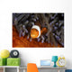 False Clownfish Swims Wall Decal