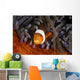 False Clownfish Swims Wall Decal
