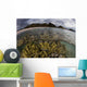Large Colony Soft Coral Water Surface Wall Decal