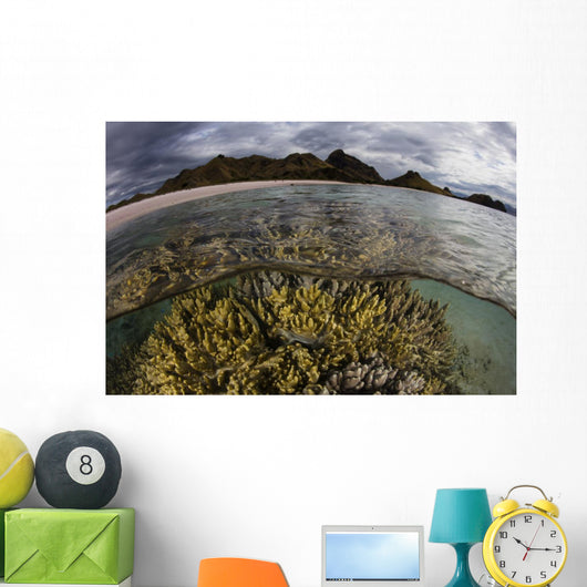 Large Colony Soft Coral Water Surface Wall Decal