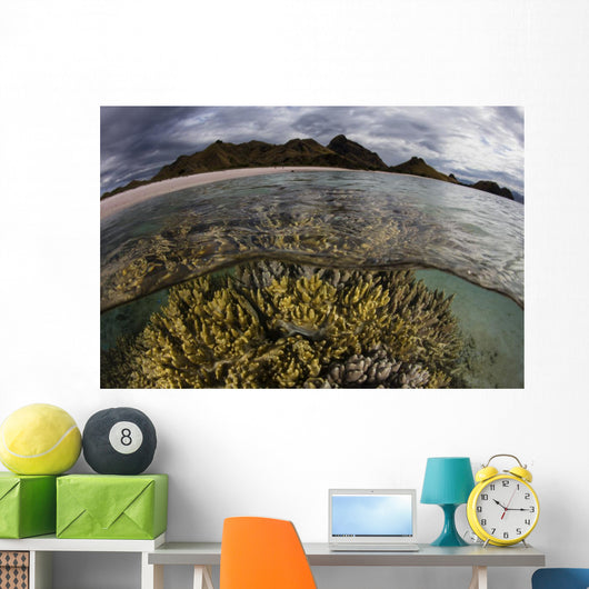 Large Colony Soft Coral Water Surface Wall Decal