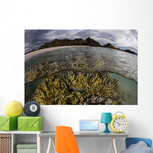 Large Colony Soft Coral Water Surface Wall Decal